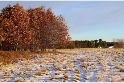 Tbd 5th Avenue, Camp Douglas, WI 54618 - Photo 5