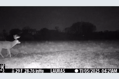 Tbd 5th Avenue, Camp Douglas, WI 54618 - Photo 21