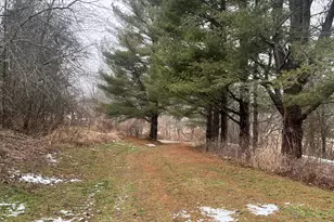 30895 Brookside Ln, Blue River, WI 53518 - Photo 55