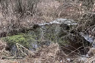 30895 Brookside Ln, Blue River, WI 53518 - Photo 31