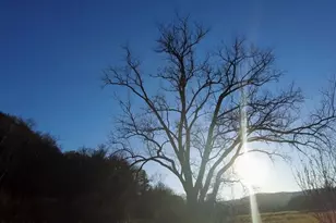 30895 Brookside Ln, Blue River, WI 53518 - Photo 61