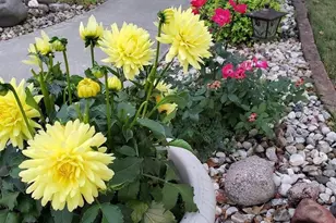 901 Innisbrook Ct, Waunakee, WI 53597 - Photo 53