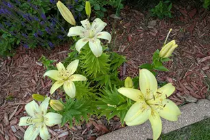 901 Innisbrook Ct, Waunakee, WI 53597 - Photo 65