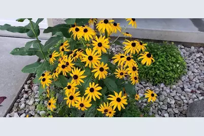 901 Innisbrook Court, Waunakee, WI 53597 - Photo 51