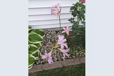 901 Innisbrook Court, Waunakee, WI 53597 - Photo 67