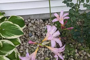 901 Innisbrook Ct, Waunakee, WI 53597 - Photo 67