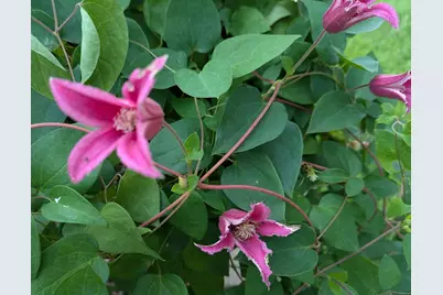 901 Innisbrook Court, Waunakee, WI 53597 - Photo 63