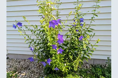 901 Innisbrook Court, Waunakee, WI 53597 - Photo 69