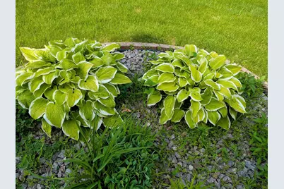 901 Innisbrook Court, Waunakee, WI 53597 - Photo 61