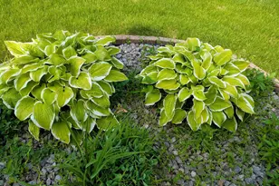 901 Innisbrook Ct, Waunakee, WI 53597 - Photo 61