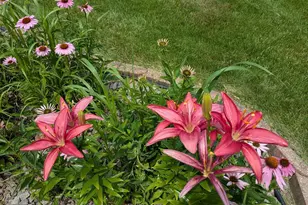 901 Innisbrook Ct, Waunakee, WI 53597 - Photo 55