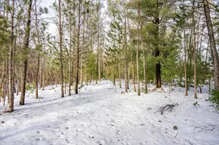 N13903 Hwy 80, Necedah, WI 54646 - Photo 49