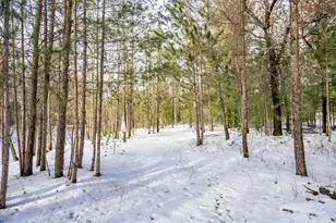 N13903 Hwy 80, Necedah, WI 54646 - Photo 53