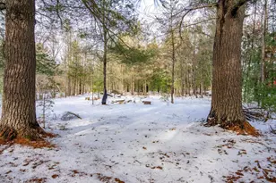 N13903 Hwy 80, Necedah, WI 54646 - Photo 57