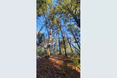 Lot 15 19th Pass, Arkdale, WI 54613 - Photo 7