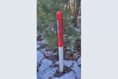 Lot 15 19th Pass, Arkdale, WI 54613 - Photo 3