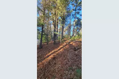 Lot 15 19th Pass, Arkdale, WI 54613 - Photo 9