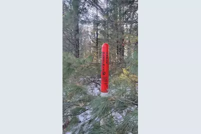 Lot 16 19th Pass, Arkdale, WI 54613 - Photo 3