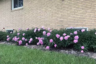 2315 Spring Rose Rd, Verona, WI 53593 - Photo 47