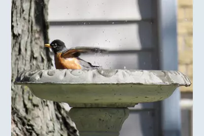 2315 Spring Rose Road, Verona, WI 53593 - Photo 57