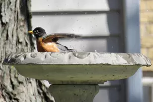 2315 Spring Rose Rd, Verona, WI 53593 - Photo 57