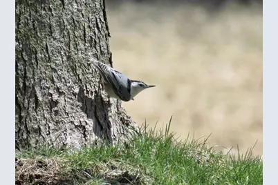 2315 Spring Rose Road, Verona, WI 53593 - Photo 59