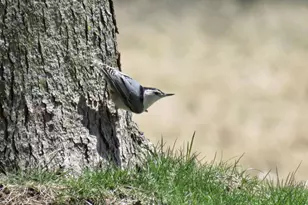 2315 Spring Rose Rd, Verona, WI 53593 - Photo 59