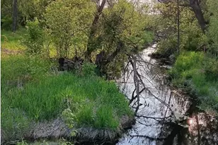 L1 State Hwy 22, Montello, WI 53949 - Photo 1