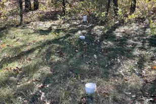 2414 Valley Dr, Friendship, WI 53934 - Photo 39