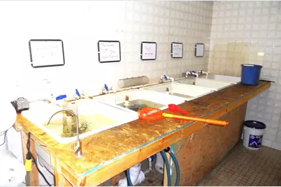 N9246 Hwy 80, Necedah, WI 54646 - Photo 23