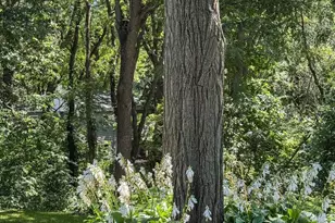 2001 Timber Lake Rd, Oregon, WI 53575 - Photo 77