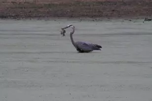 8801 N Serns Rd, Milton, WI 53563 - Photo 81