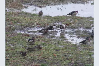 8801 N Serns Road, Milton, WI 53563 - Photo 83