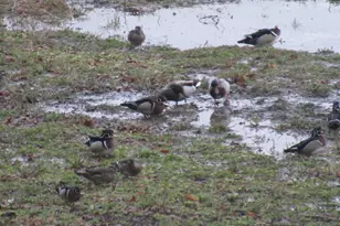 8801 N Serns Rd, Milton, WI 53563 - Photo 83