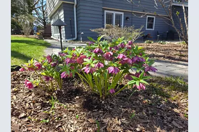 5421 Trempealeau Trail, Madison, WI 53705 - Photo 59