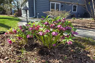 5421 Trempealeau Trail, Madison, WI 53705 - Photo 59