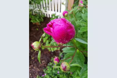 5421 Trempealeau Trail, Madison, WI 53705 - Photo 53