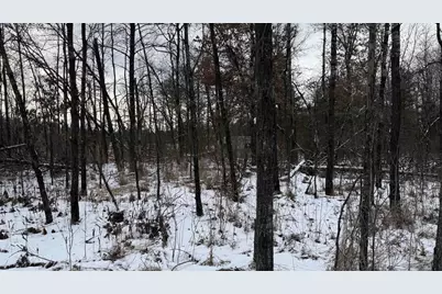 1.50 Acres Retirement Lane, Necedah, WI 54646 - Photo 5