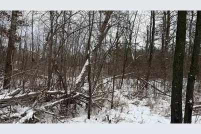 1.50 Acres Retirement Lane, Necedah, WI 54646 - Photo 3