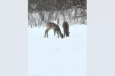 262 Ba Wood Lane #1, Janesville, WI 53545 - Photo 27