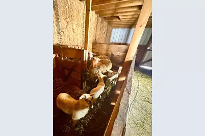 S6720 Eli Valley Road, Loganville, WI 53943 - Photo 47