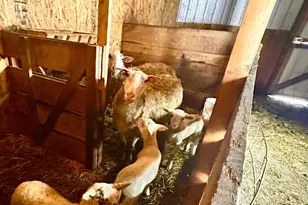 S6720 Eli Valley Rd, Loganville, WI 53943 - Photo 47