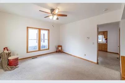 217 Williams Street, Cambria, WI 53923 - Photo 19