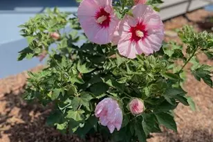 237 Royal Ridge Dr, Oconomowoc, WI 53066 - Photo 25