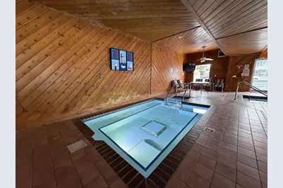 530 E Hiawatha Drive #208, Lake Delton, WI 53965 - Photo 29