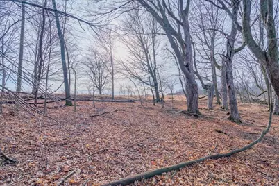 L459 Summit Point Drive, La Valle, WI 53941 - Photo 39