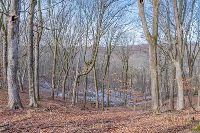 L459 Summit Point Drive, La Valle, WI 53941 - Photo 37