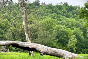 29001 Skyview Ln, Wauzeka, WI 53826 - Photo 51