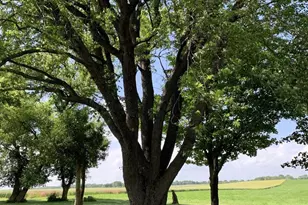 N3011 Mickelson Rd, Fall River, WI 53932 - Photo 37