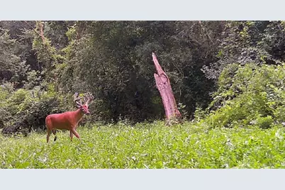 1079 Koshkonong Road, Cambridge, WI 53523 - Photo 35